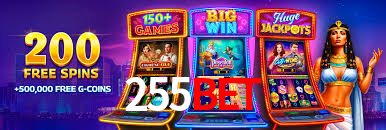 255bet App Interface