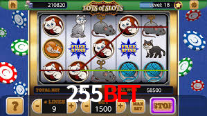 Explore as vantagens do 255bet: serviço profissional e confiabilidade